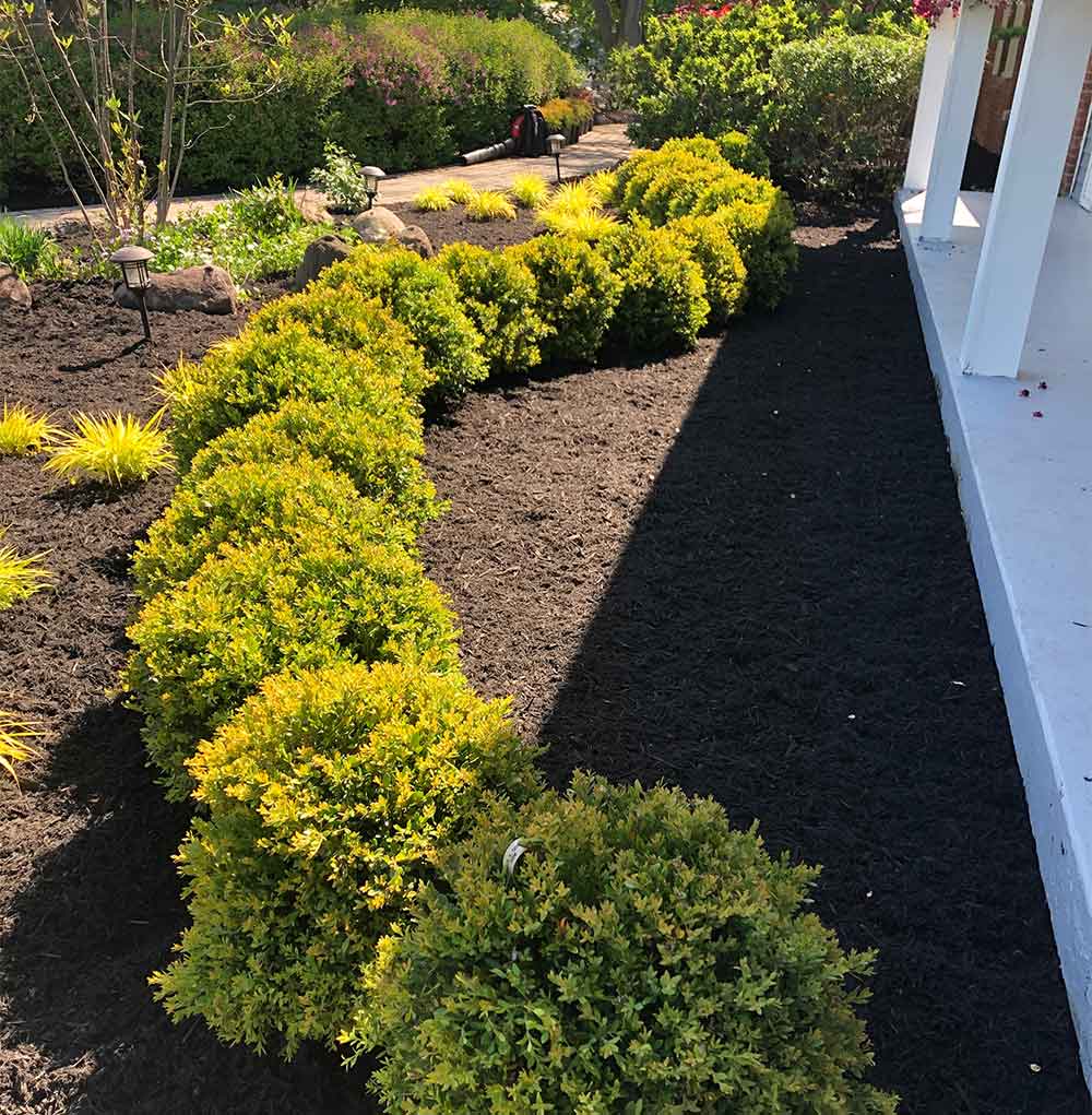 Contact Us at Wasmer Brothers Landscaping in Farmington Hills, MI