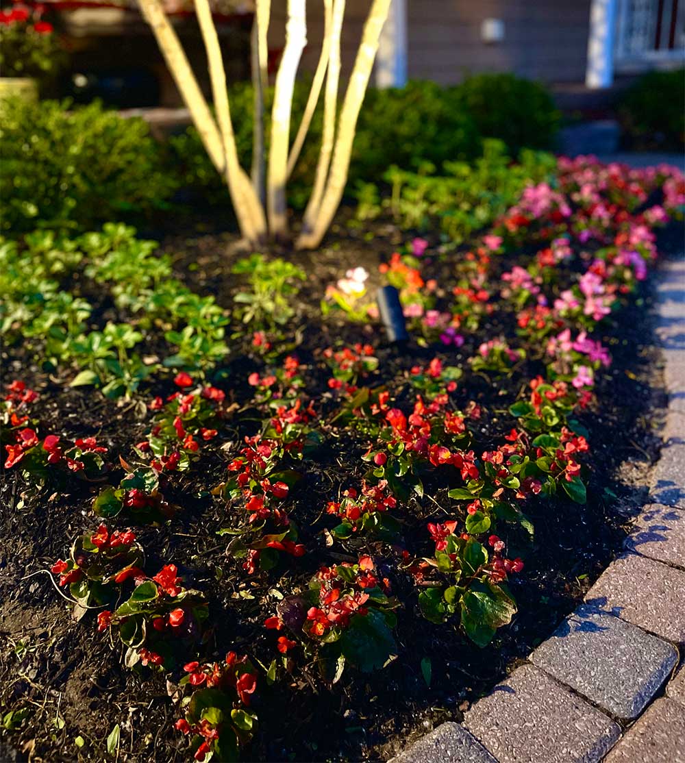 custom landscaping projects at Wasmer Brothers Landscaping in Farmington Hills, MI